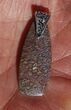 Pink Agatized Dinosaur Bone (Gembone) Pendant #54083-5